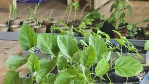 For deep connection with land and people