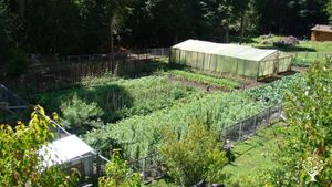 Family home and garden - rural