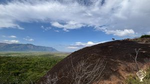 Mobile Ranching in the African bush