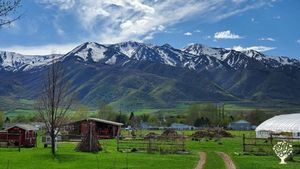 A cooperative ecological agriculture project using native wisdom and regenerative principals. CSA.