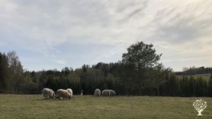 Smallholding, Hobby Farm, Family farm
