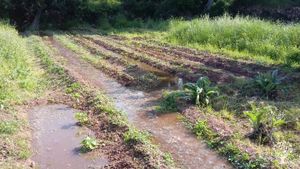 Alternative co-operative community