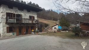 La casa è immersa nel bosco. Coltivo frutta, viti, olivi per uso famigliare, api e galline.