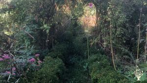 Eco Lodge/Wilderness Adventures, Eco Retreat, Horse Ranch, Yoga 🧘‍♀️, Orchard