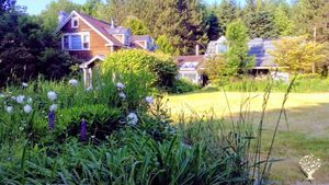 Organic and vegan homestead in northern Vermont