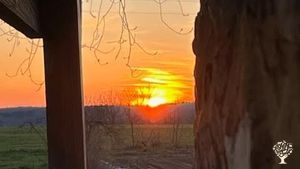 Lavender and herb farm