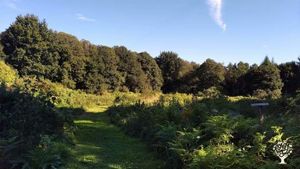Pépinière, autonomie, forêt jardin