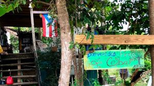 Agro-ecological production farm in the beautiful island of Puerto Rico