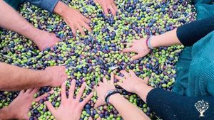 Progetto di Permacultura situato tra i meravigliosi colli Caiatini