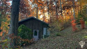Flower Farm in the Mountains of NC