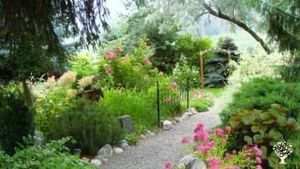 Family home and garden semi- rural, Hobby Farm, Women-operated