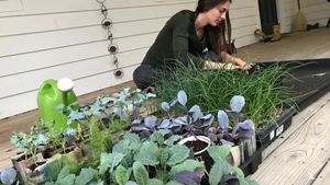 We love getting our hands . Nothing like growing food from scratch.