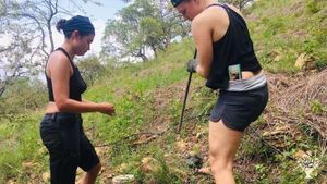 Its a 50 acre degraded hill restoration project with native endemics using nature based methods.