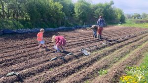 Living community with permaculture garden