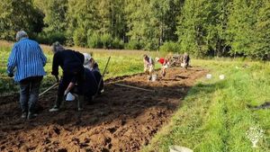 Mjölkgetter, gårdsmejeri, skog m.m.