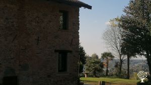 Coltivazione di mirtilli