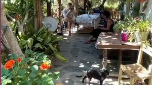 Finca in the Alpujarra, with cattle free grazing in the mountains