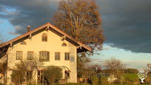 Hobby mit Hühner, Garten,  Ponys, Weidepflege