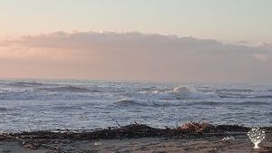 ASSOCIAZIONE CULTURALE