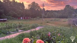 Small-scale crop production with care for nature and animals.