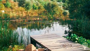 Family permaculture homestead