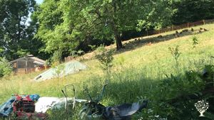 Petite ferme en poules pondeuses bio, arboriculture et maraichage .