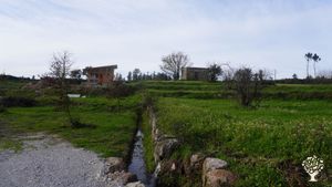 Private Homestead with stunning view