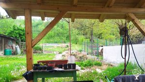 Forest Garden in the Hollow