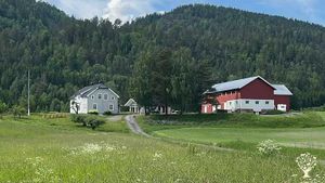 Økologisk drevet gård med bier. Beeki har lab, produksjon og lager ansiktsoljer m/Bivoks fra biene