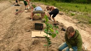 Permaculture vegetable garden