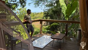 Jungle à Pat’ est un jardin botanique immersif situé à La Rivière Saint-Louis, à La Réunion. Véritab