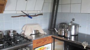 Tiere fordern und fördern Kinder