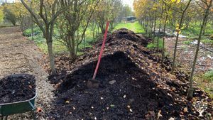 Mature compost stored in the orchard in InnRGreen (Anderlecht)