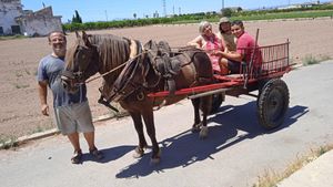 Family home and garden - rural, Market Garden