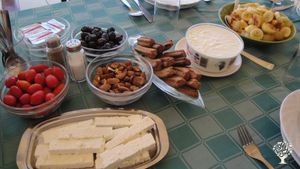 Family home and garden - rural