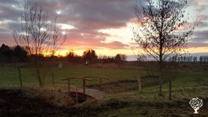 Permacultuur Familie boerderij Drenthe voedselbos met koeien kippen Alternative homestead vrij leven