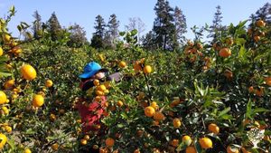 <JJ122> 장애인들과 함께 지내는 평화의마을/ Peace Village Living Together with People with Disabilities