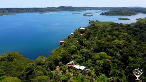 Aerial view of the farm