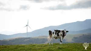 "Help Wanted" <GW122>아시아 최대 유기 초지 낙농 목장 / Asia's Largest Organic Pasture Dairy Farm