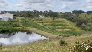 Permaculture project and private nature reserve in Alentejo, Portugal