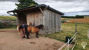 Smallholding north of Aberdeen