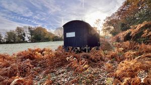 No dig vegetable garden, flower farm and campsite