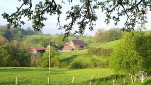 Biodynamische Gärtnerei, Landwirtschaft und Saatgutvermehrung