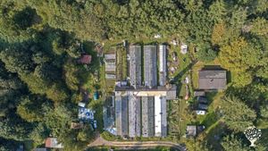 Gärtnerei - Gemeinschaft - Community supportet agriculture - SoLawi