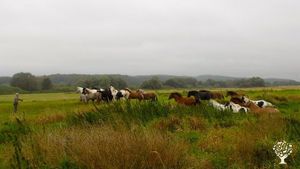 Selbstversorger- und Ferienhof