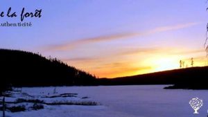 Auberge éco-touristique / Aventures de plein air