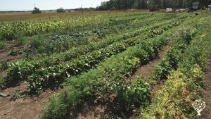 Main Garden, which is largest of 3. 