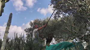 Laboratorio di saponi artigianali in Calabria