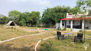 Khajuraho Permaculture Farm is located right in the UNESCO World Heritage city of Khajuraho, India