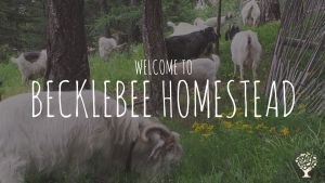 Family home and garden - rural